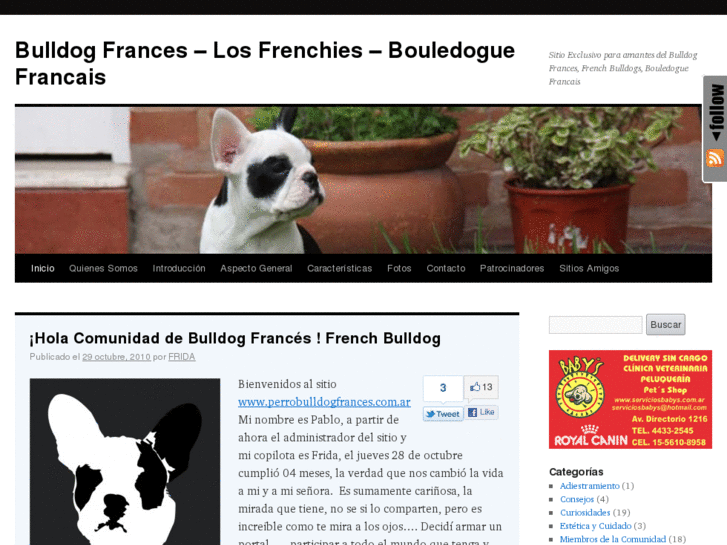 www.perrobulldogfrances.com.ar