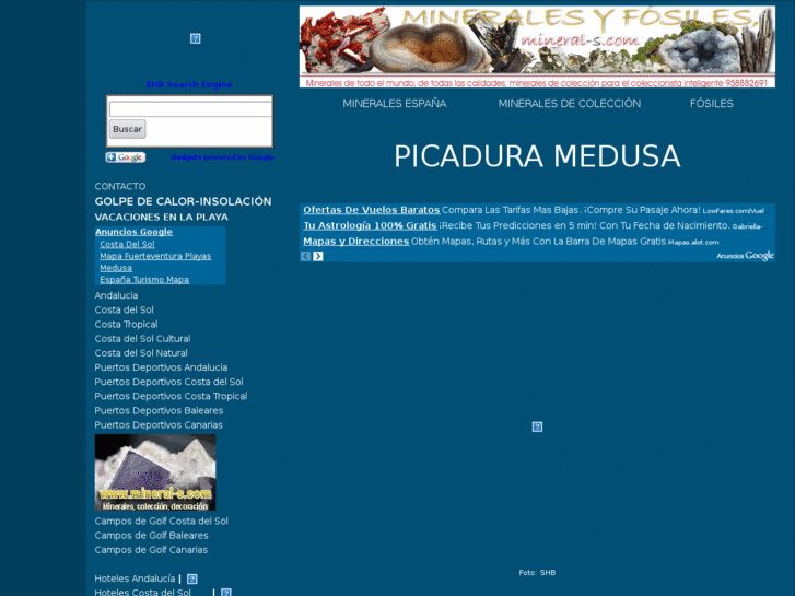 www.picadurademedusa.com