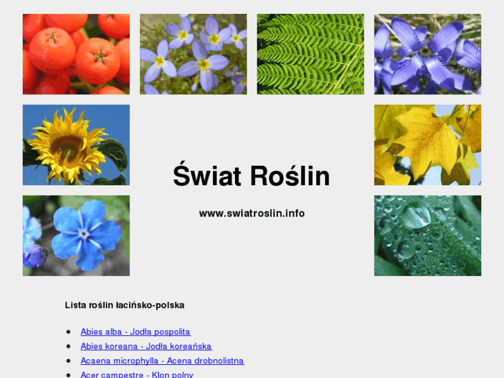www.swiatroslin.info