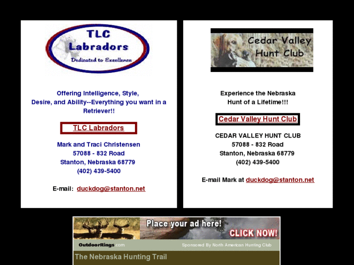 www.tlclabradors.com