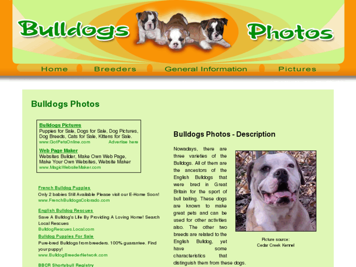 www.bulldog-photos.com