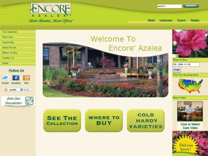 www.encoreazalea.com