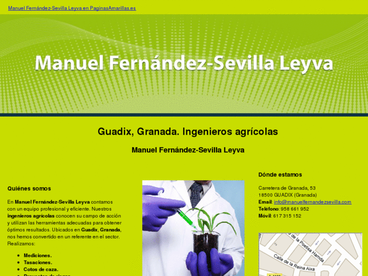 www.manuelfernandezsevilla.com