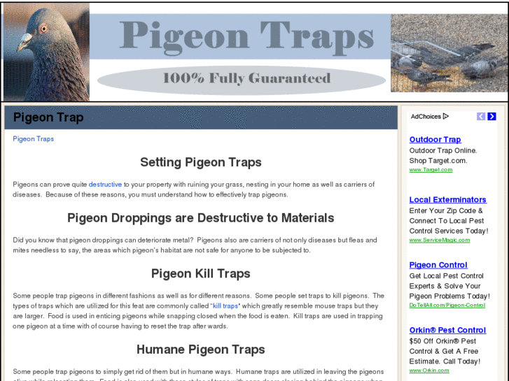 www.pigeontraps.net