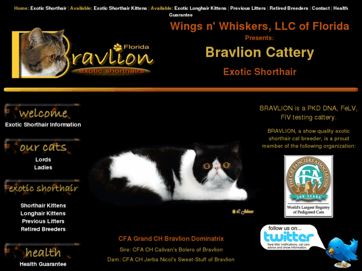 www.wingsnwhiskers.com