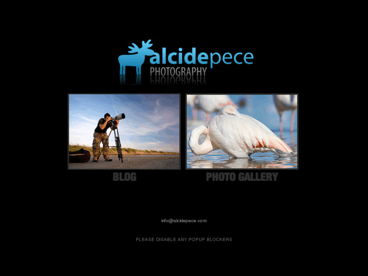 www.alcidepece.com