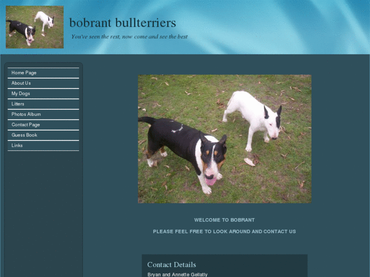 www.bobrantbullterriers.com