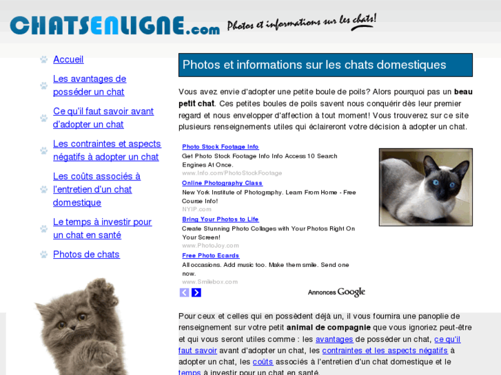 www.chatsenligne.com