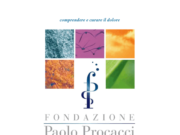 www.fondazioneprocacci.org