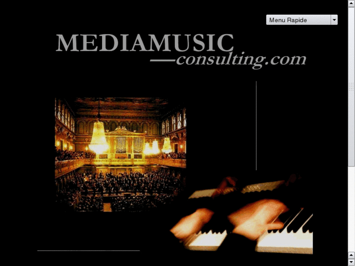 www.mediamusic-consulting.net