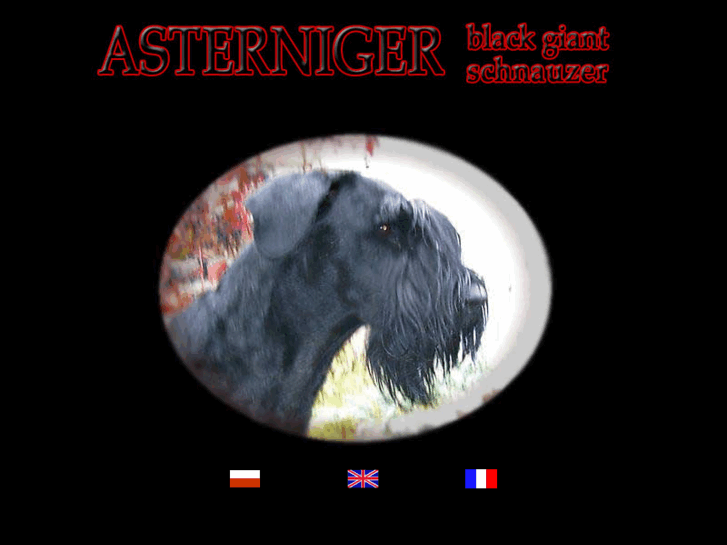 www.asterniger.com