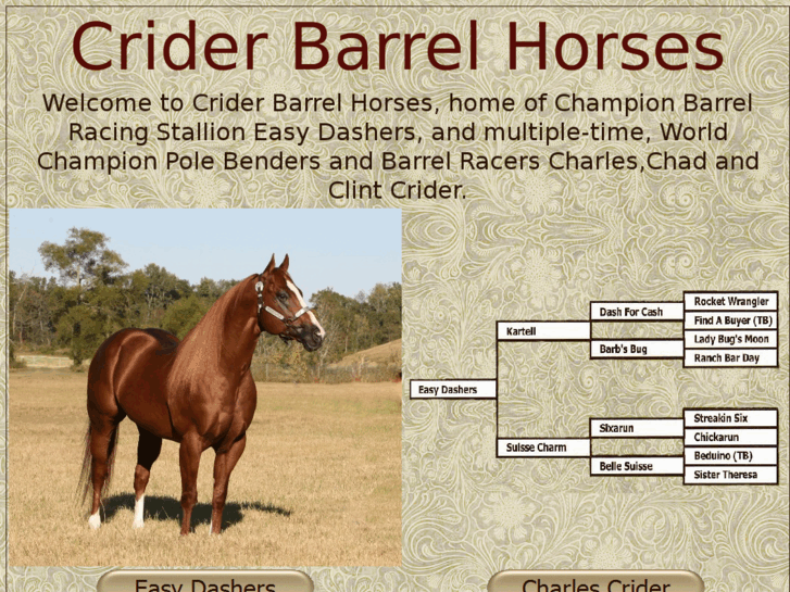 www.criderbarrelhorses.com