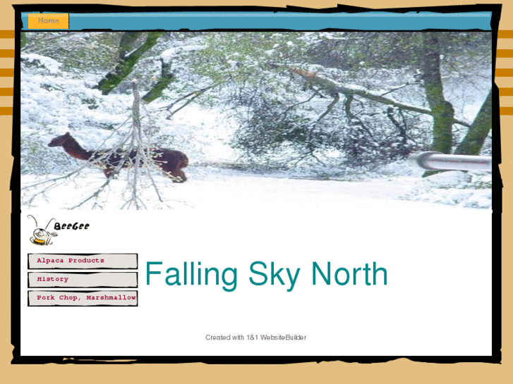 www.fallingskynorth.com