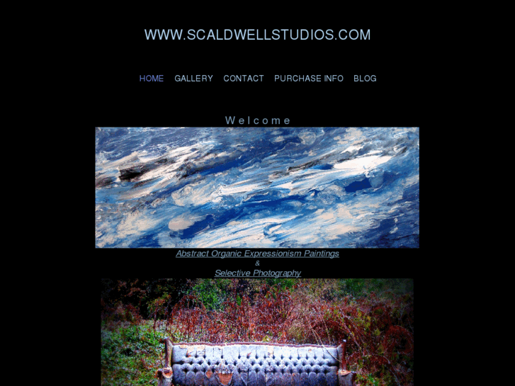 www.scaldwellstudios.com