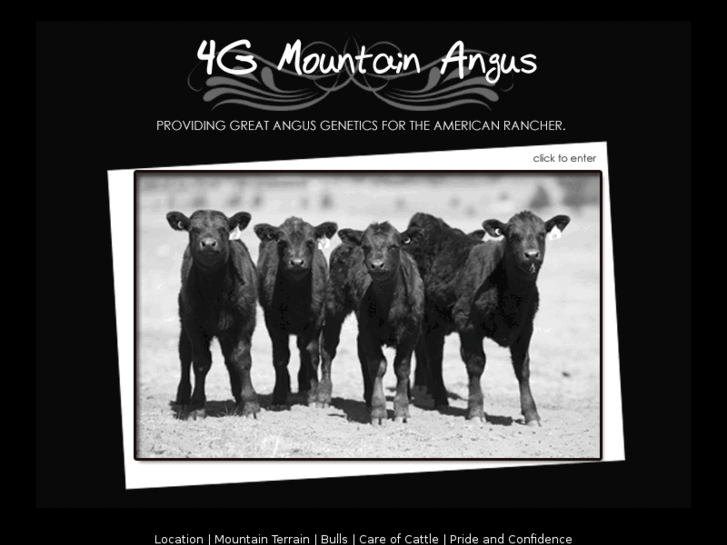 www.4gmountainangus.com