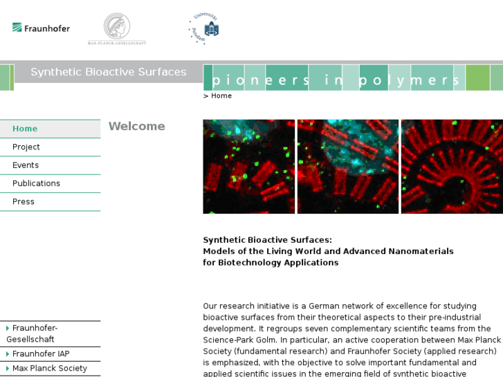 www.bioactive-surfaces.com