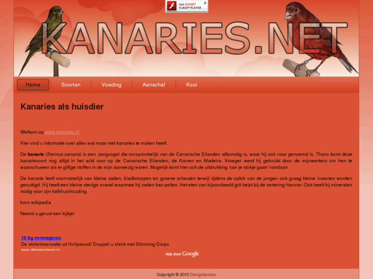 www.kanaries.net