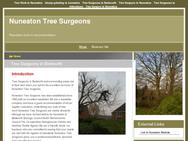 www.treesurgeonsbedworth.com