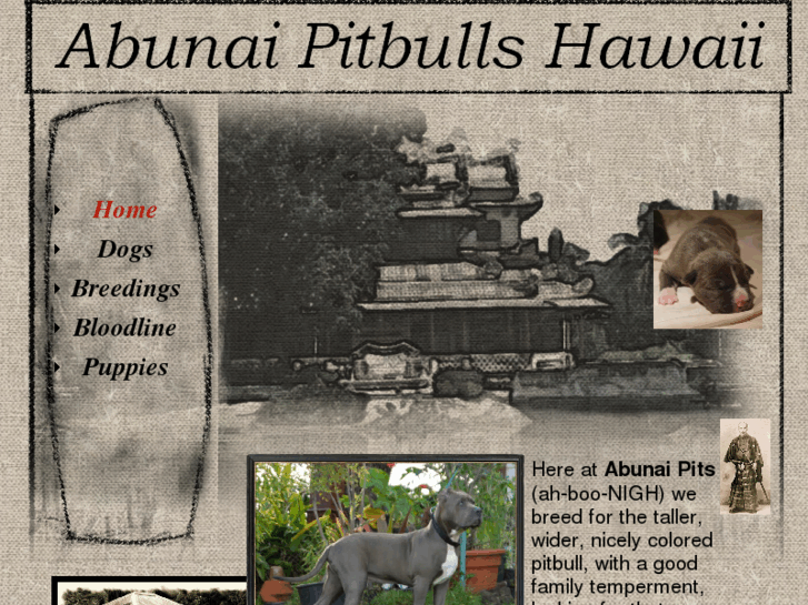 www.abunaipitbullshawaii.com