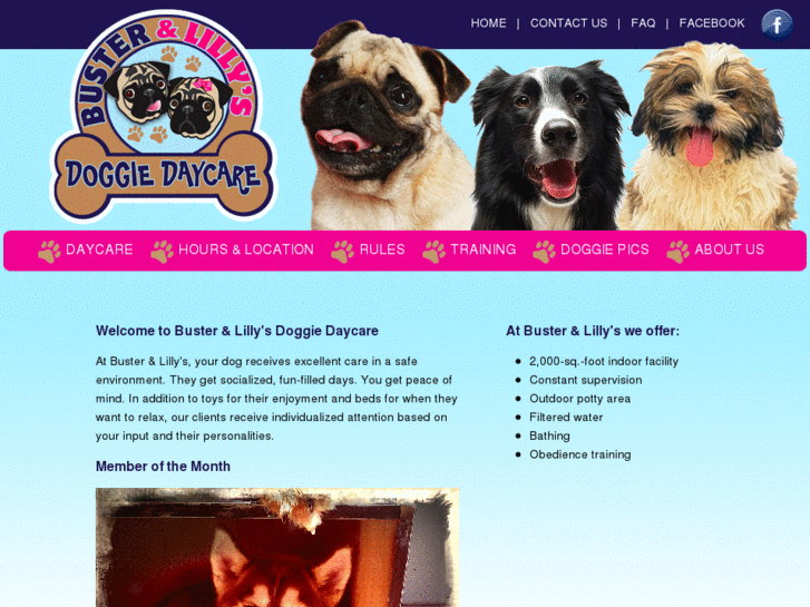 www.busterandlillydoggiedaycare.com