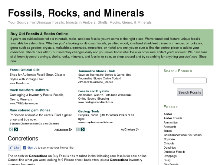 www.buyfossils.info