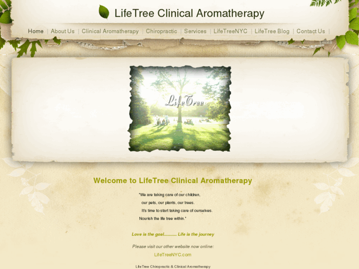 www.lifetreearomatherapy.com