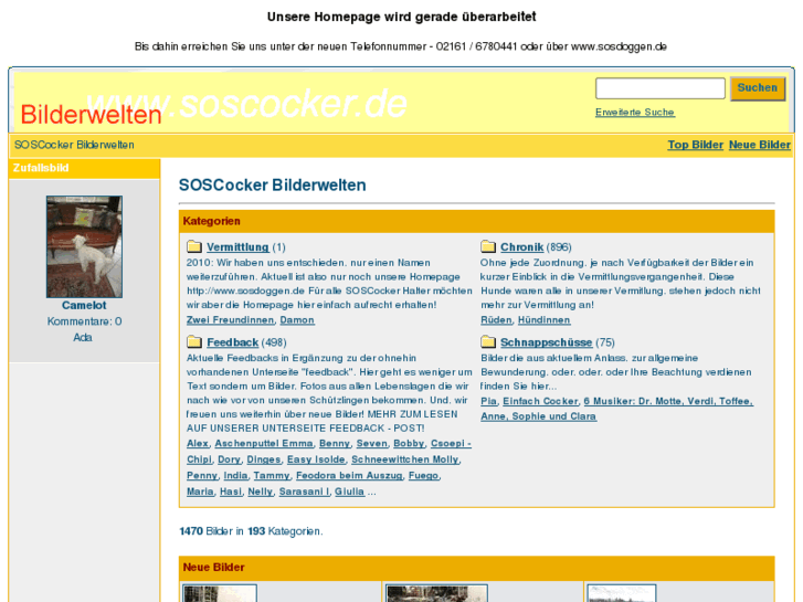 www.soscocker.de