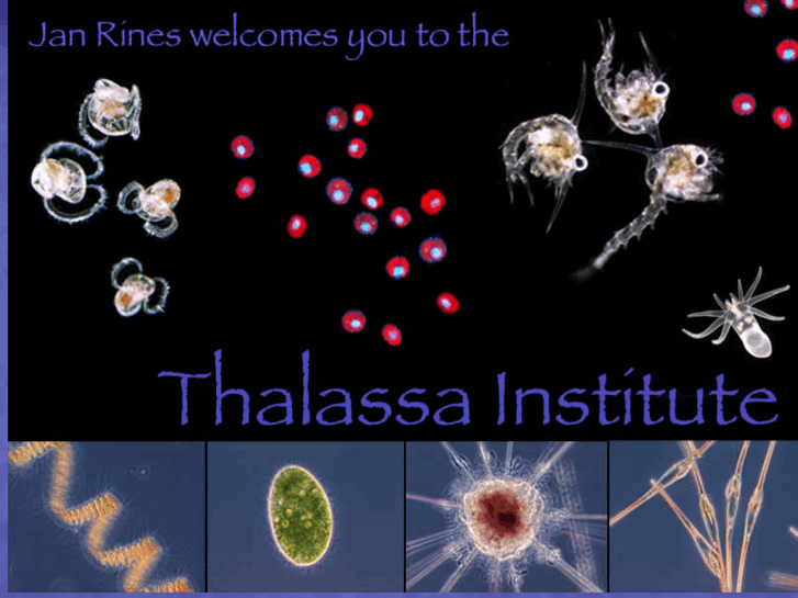 www.thalassa.org