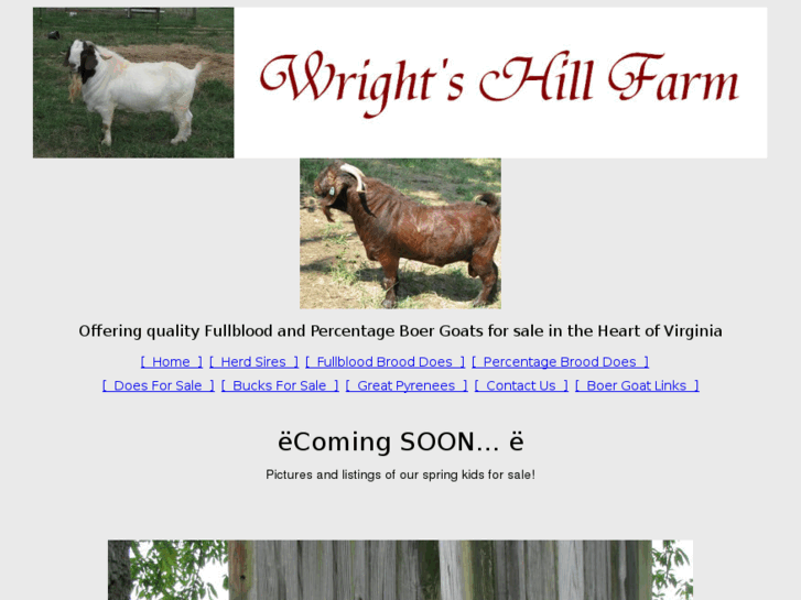 www.wrightshillfarm.com