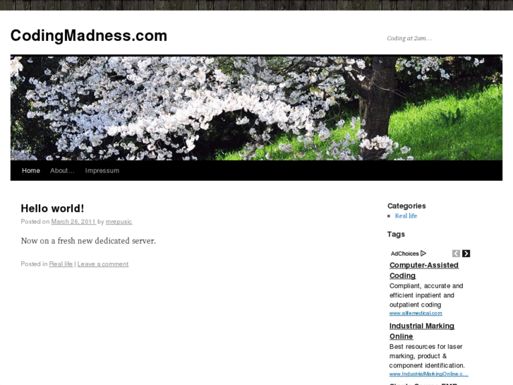 www.codingmadness.com