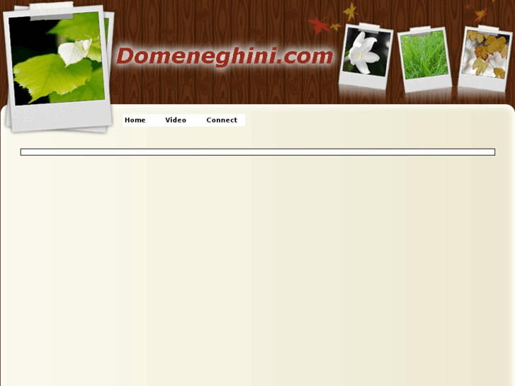 www.domeneghini.com