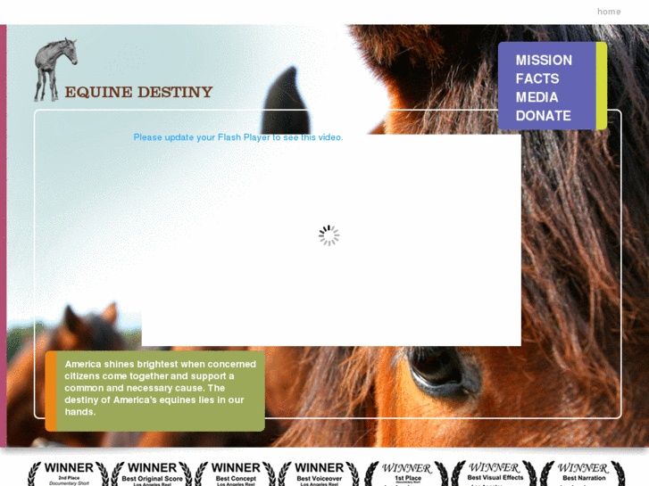 www.equinedestiny.com