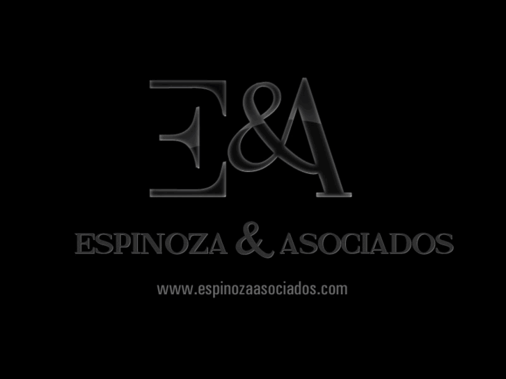 www.espinozaasociados.com