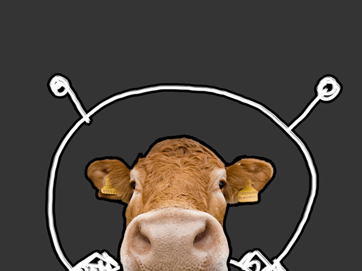 www.spacecow.org