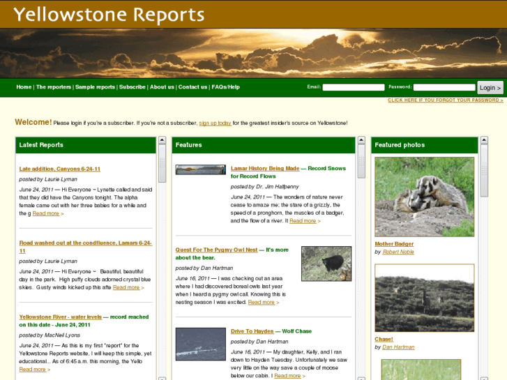 www.yellowstonereports.com