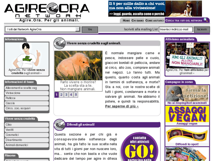 www.agireora.org