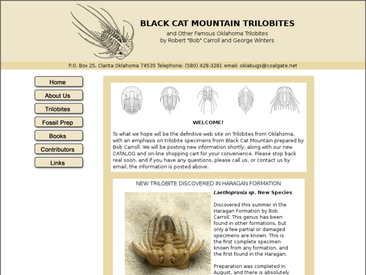 www.blk-cat-mtn-trilobites.com