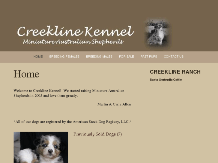 www.creeklinekennel.com