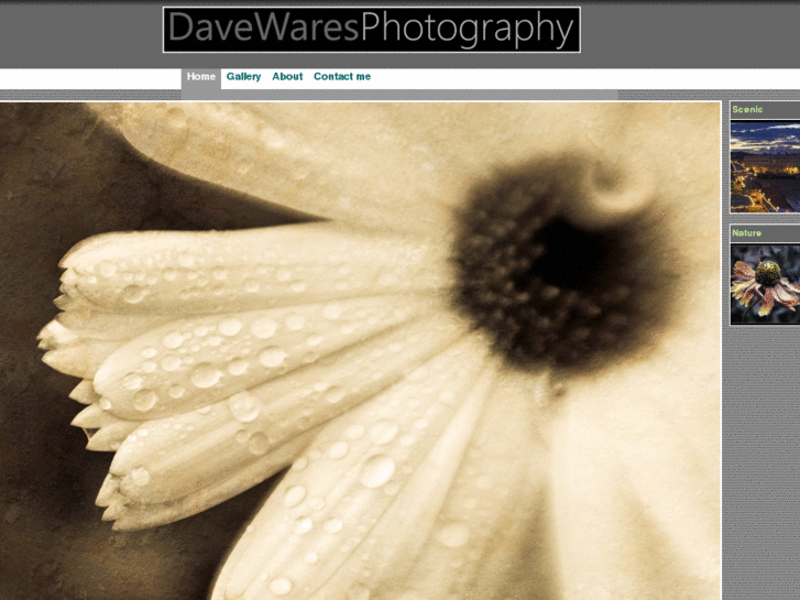 www.davesphotogallery.net