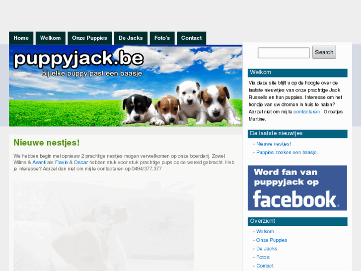 www.puppyjack.be