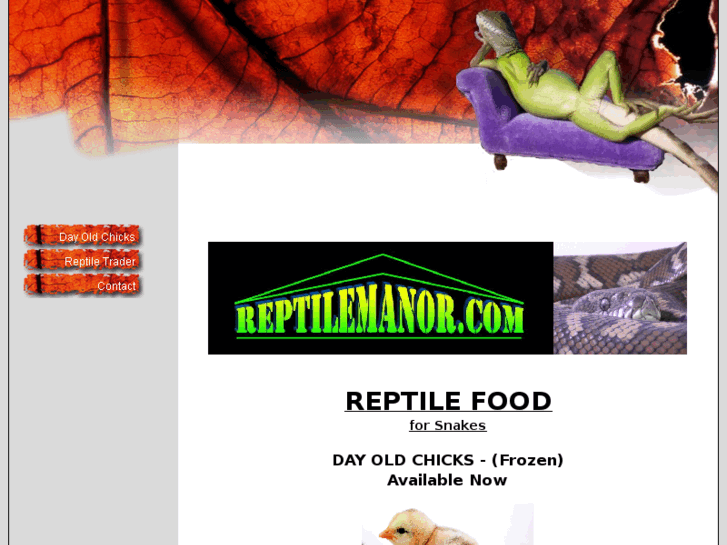 www.reptilemanor.com