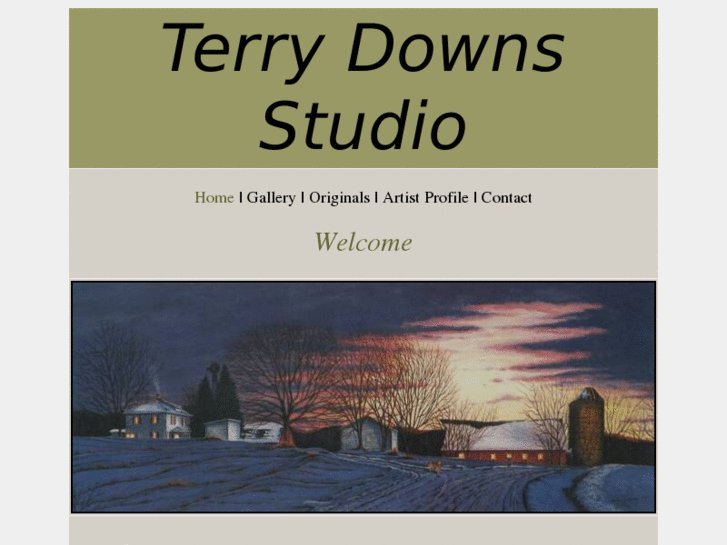 www.terrydownsstudio.com