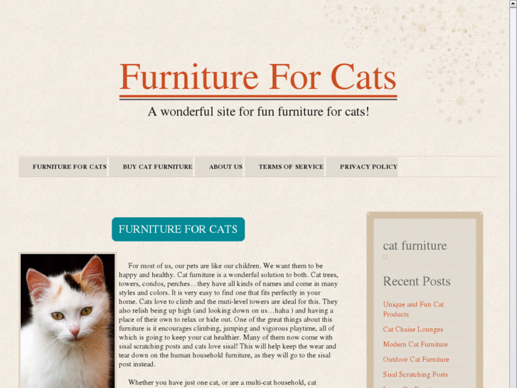 www.thefurniture-for-cats.com