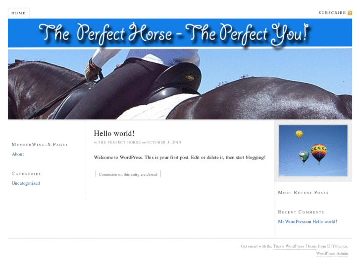 www.theperfecthorse.com