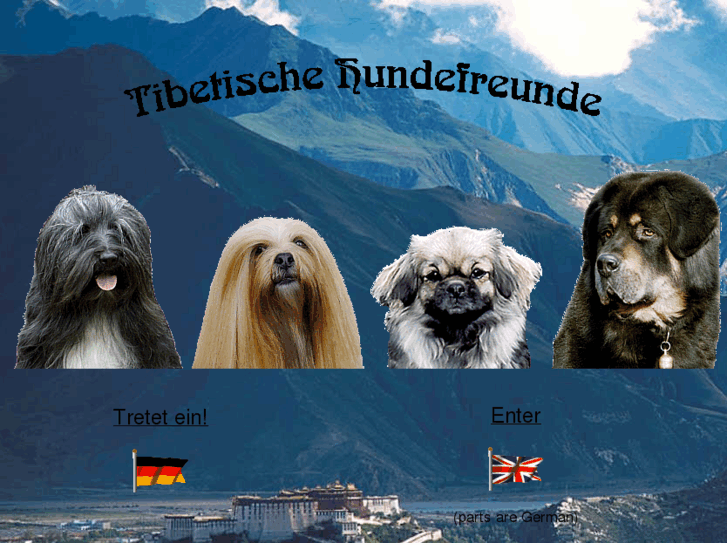 www.tibetische-hundefreunde.de