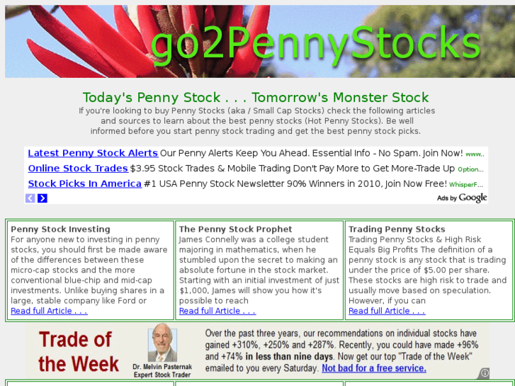 www.go2pennystocks.com