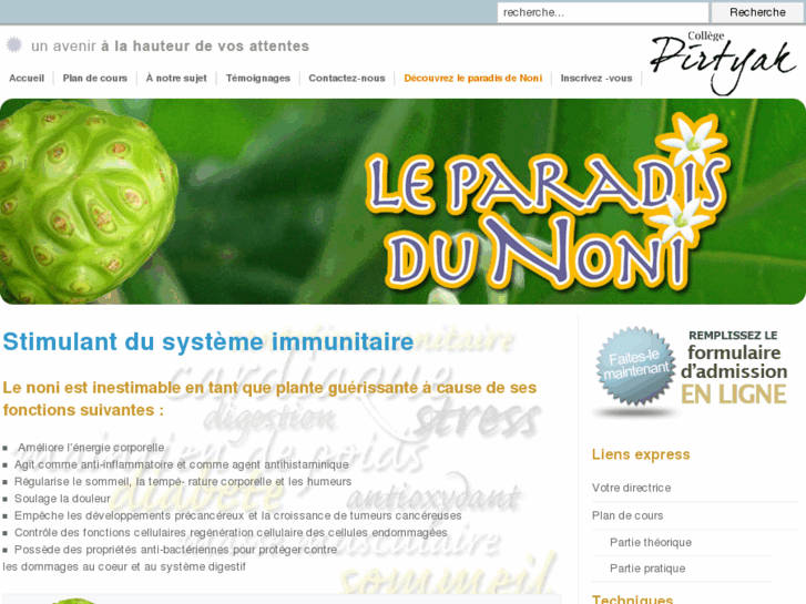 www.leparadisdunoni.com