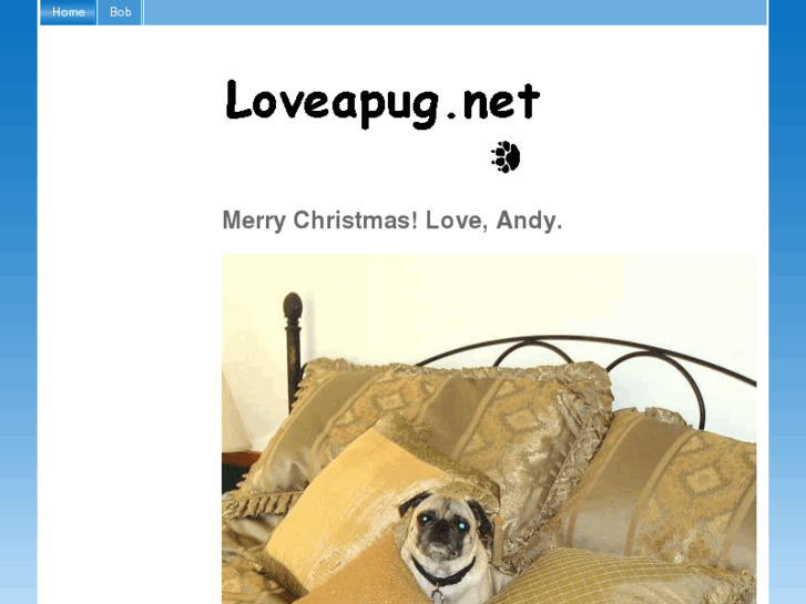 www.loveapug.net