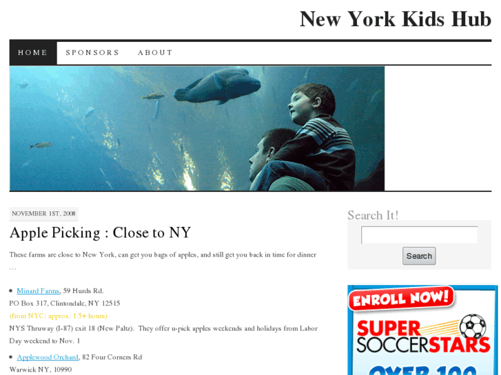 www.nykidshub.com