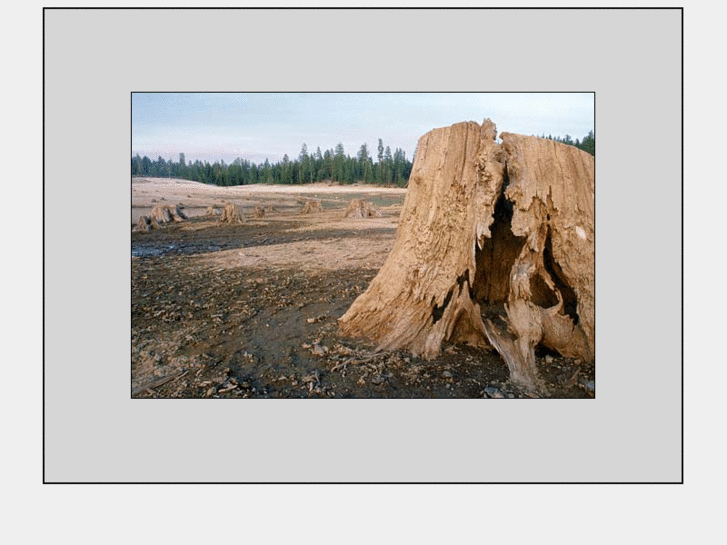 www.oldstump.net
